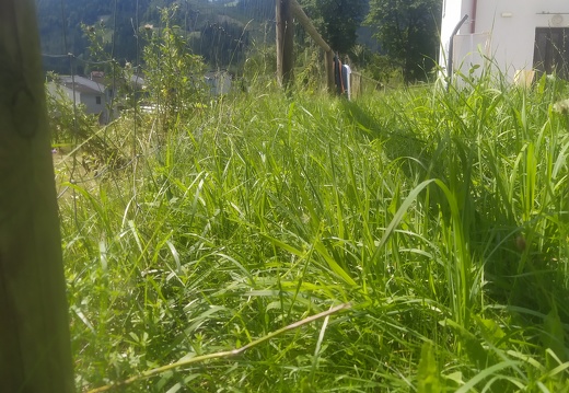 IMG 20210807 122851